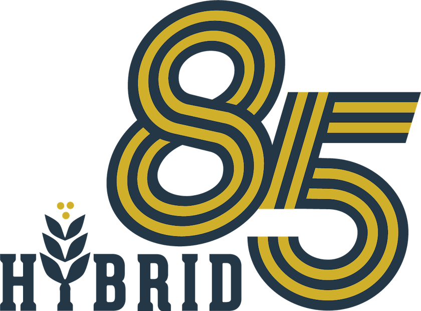 Hybrid85 Logo