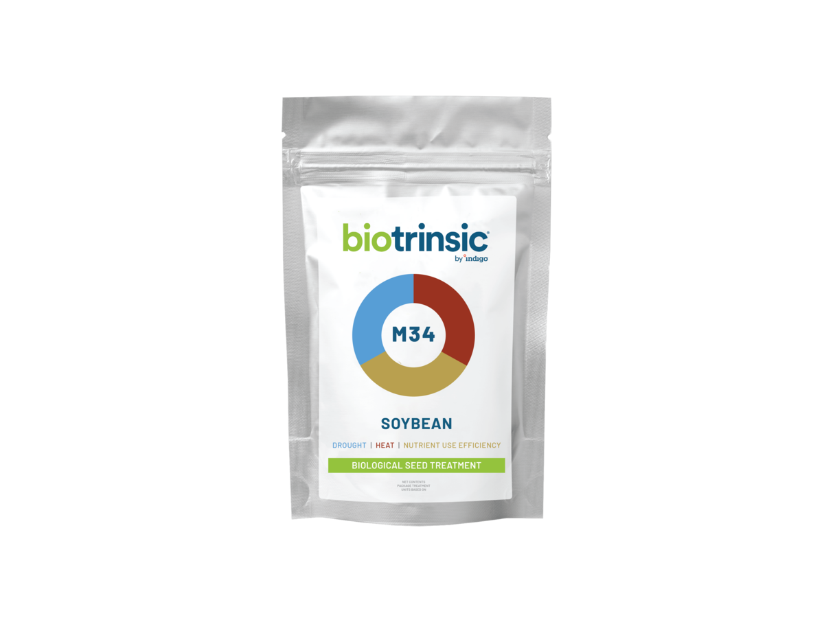 Biotrinsic M34 FP