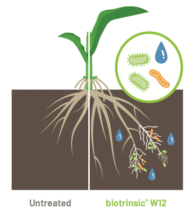 biotrinsic® W12 FP biology