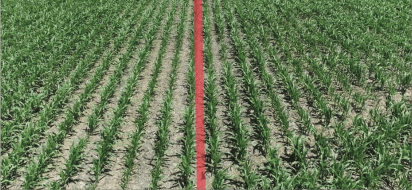 biotrinsic® Z15 FP – Field Comparison
