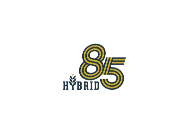 Hybrid85 Logo