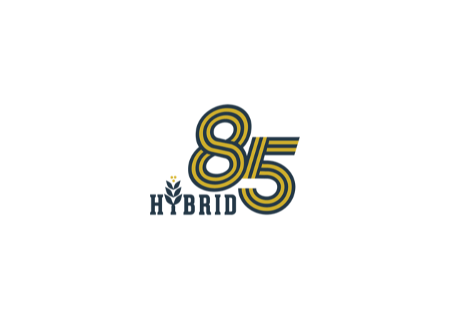 Hybrid85 Logo