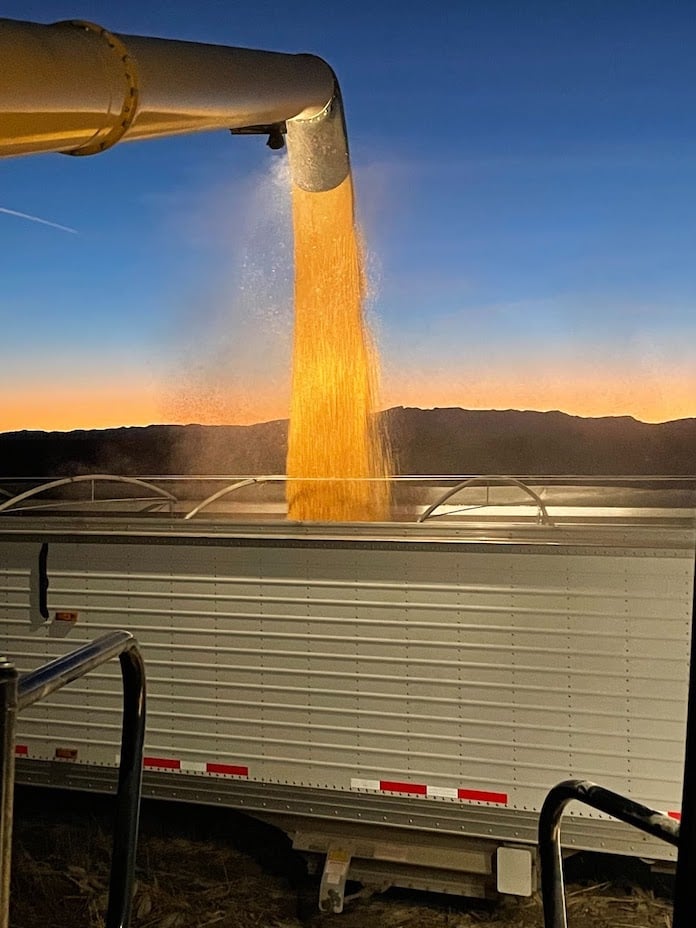 Grain flowing out of auger into truck