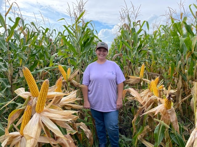 Non-GMO Hybrid Seed Corn