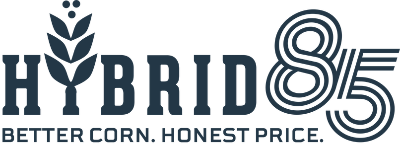 Hybrid85 Logo