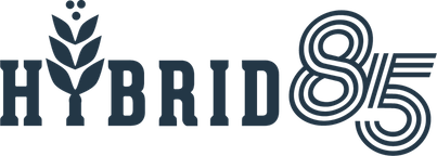 Hybrid85 Logo