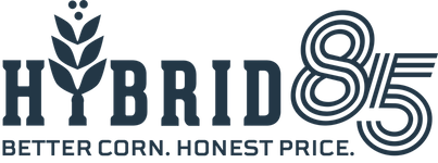 Hybrid85 Logo